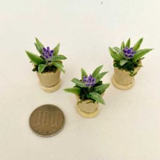 画像4: ミニチュア　青い花の鉢植え（白鉢） (4)