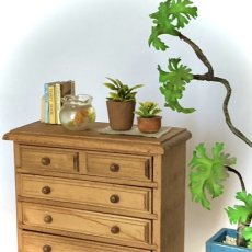 画像4: ミニチュア　小さな観葉植物 ＆ ウッドトレイ (4)